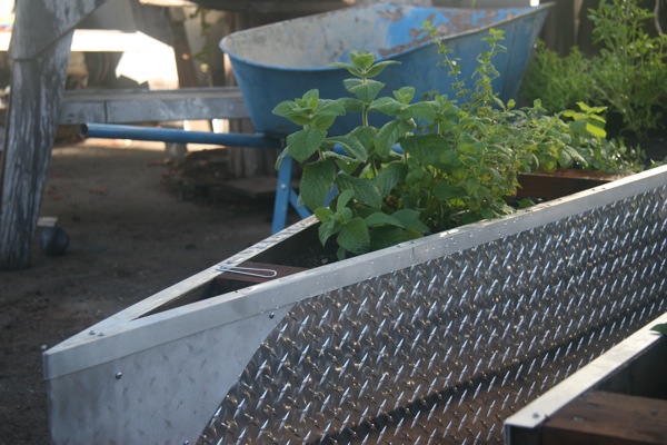 giant terra preta planter